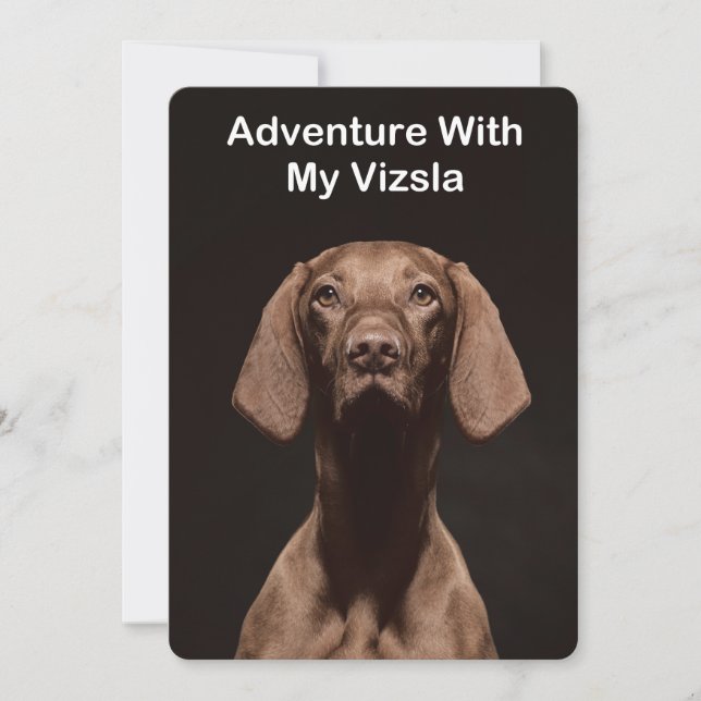 Invitation Aventure avec mon Vizsla (Devant)