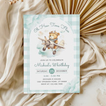 Avion Teddy Bear Pastel Temps Vol Anniversaire