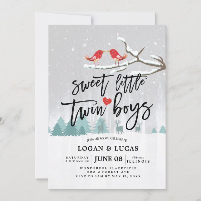 Invitation Baby shower d'hiver moderne Sweet Little Twin Boys (Devant)