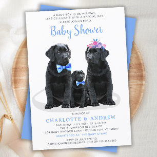Invitation Baby shower Garçon bleu avec marionnettes