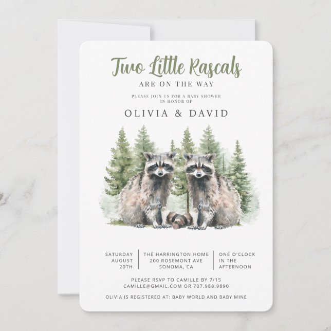 Invitation Baby shower Raccoon Twins (Devant)
