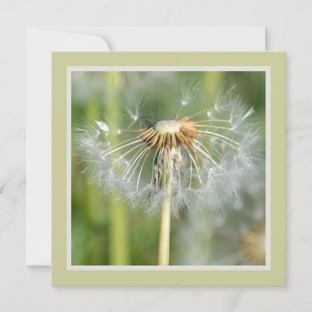 Invitation Baby shower vert blanc Dandelion Fleurs (Devant)
