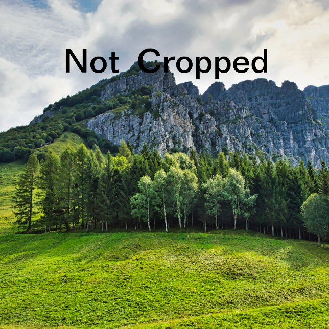 Invitation bachelorette (Créateur téléchargé)