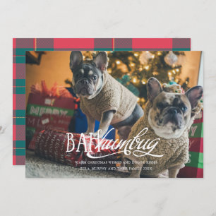 Invitation Bah Humbug Silly Pet Photo Holiday Card
