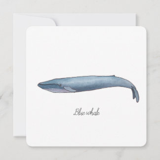 Invitation Baleine bleue