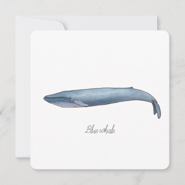Invitation Baleine bleue (Devant)