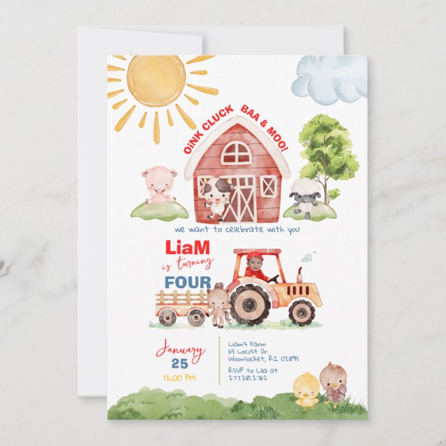 Invitation Barnyard N'Importe Quel Âge Anniversaire Photo Inv (Devant)