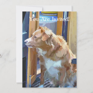 INVITATION BATEAUX DE CANAL