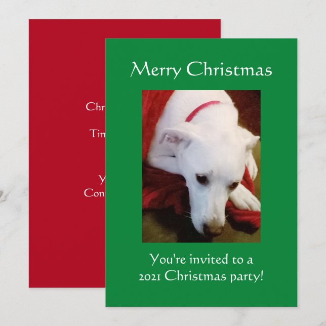 Invitation Beau Chien blanc neigeux Chien vert Noël (Devant / Derrière)