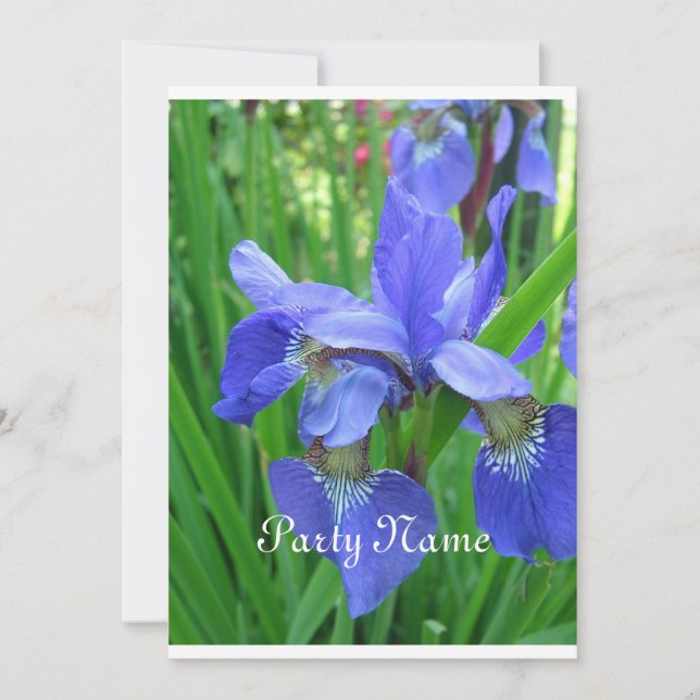 Invitation Beautfiul iris bleu et feuilles verts (Devant)