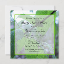 beaux frais feuilles vertes de printemps tout fête