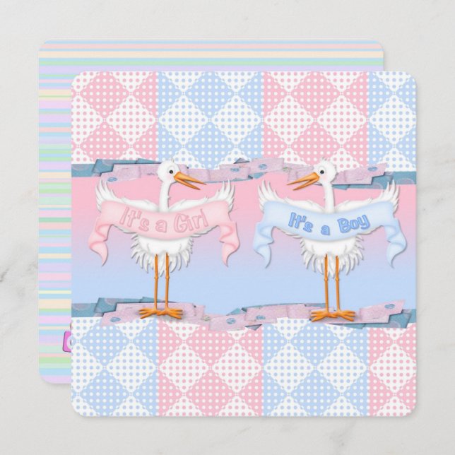 Invitation Bébé cigognes pour bébé Révélation de genre (Devant / Derrière)