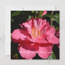 belle fleur de camélia rose tout fête