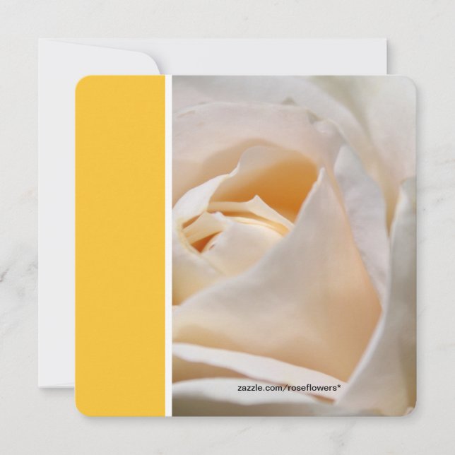 Invitation Belle fleur de rose blanche pour fête d'anniversai (Devant)