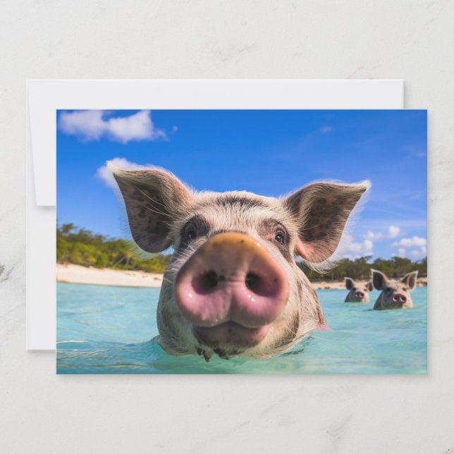 Invitation Belle natation Cochon Exuma Bahamas (Devant)