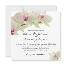 Belles orchidées de blanc et de roses indien