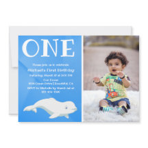 Béluga Baleine Océan Arctique Photo Premier annive