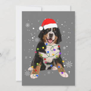 Invitation Berese Mountain Dog Lights Christmas Matching Fam
