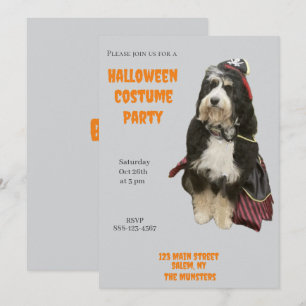 Invitation Bernedoodle Chien dans Pirate Halloween Costume Pa