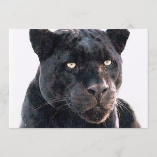 Invitation Black Jaguar