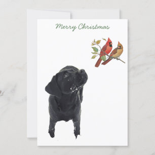Invitation Black Lab Cardinals Christmas Cardinals mignon Chi