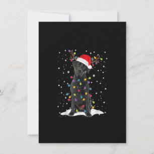 Invitation Black Lab Labrador Christmas Tree Light Pajama Dog