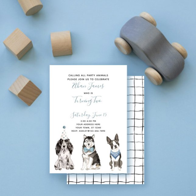 Invitation Black White Blue Dog Boy's 2nd Birthday Party (Créateur téléchargé)