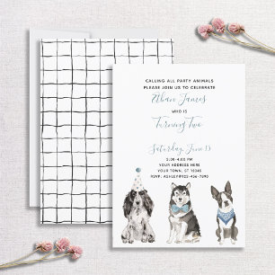 Invitation Black White Blue Dog Boy's 2nd Birthday Party