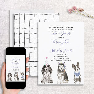 Invitation Black White Purple Dog Baby's 2nd Birthday Party