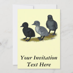 Invitation Bleu Runner Ducklings