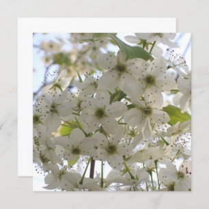 Invitation - Blooming Bradford Pear