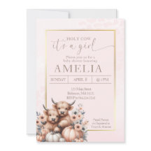 Blush Highland vache c'est une fille citrouille