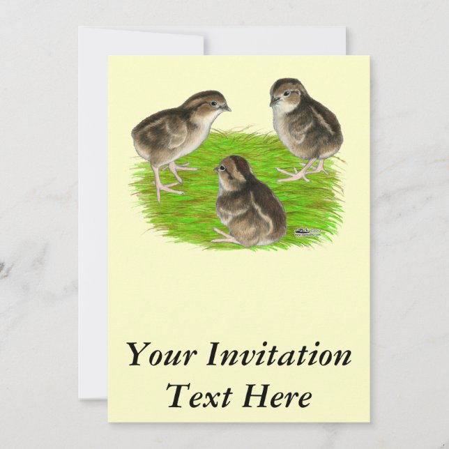 Invitation Bobwhite Quail (Devant)
