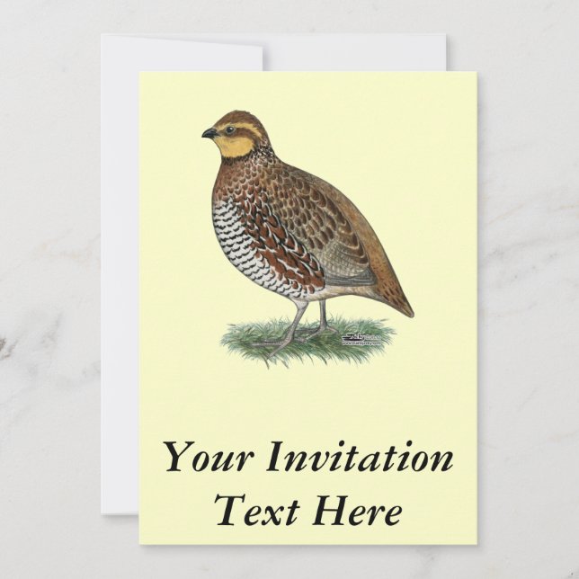 Invitation Bobwhite Quail Hen (Devant)