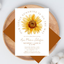 Boho Terracotta Notre Petit Baby shower De Tournes