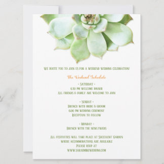 Invitation Boîtier d'itinéraire Mariage Succulent de printemp