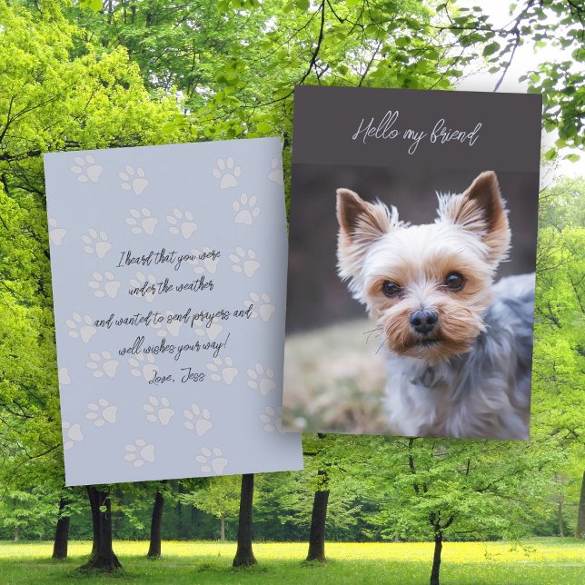 Invitation Bonjour Penser à vous Terrier Greeting Card (Créateur téléchargé)