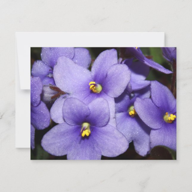 Invitation Boquet violet (Devant)