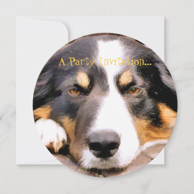 INVITATION BORDER COLLIE (Devant)