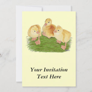 Invitation Bouffons touffus