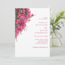 Bougainvillea Rose Aquarelle Tout En Un Mariage