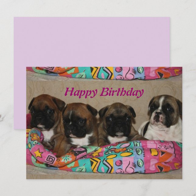 Invitation Bouledogue français Anniversaire Bouledogue França (Devant / Derrière)