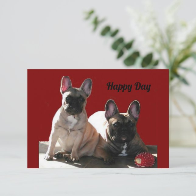 Invitation Bouledogue français Anniversaire French Bulldog (Debout devant)