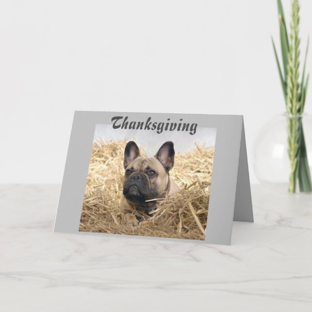 Invitation Bouledogue français de Thanksgiving (Devant)