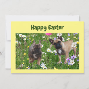 Invitation Bouledogue français Joyeuses Pâques Bouledogue fra