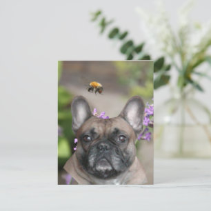 Invitation Bouledogue français Thanksgiving French Bulldog