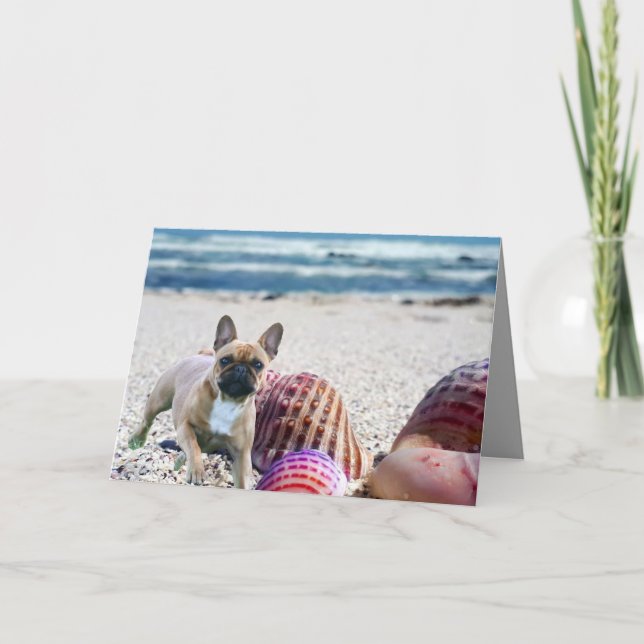 Invitation Bouledogue français vacances d'été (Devant)