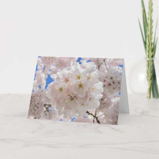 Invitation Boules de fleurs roses. (Devant)