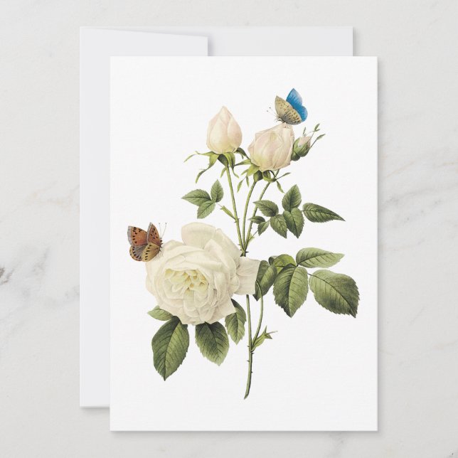 Invitation Bouquet de roses blanches avec des papillons Invit (Devant)