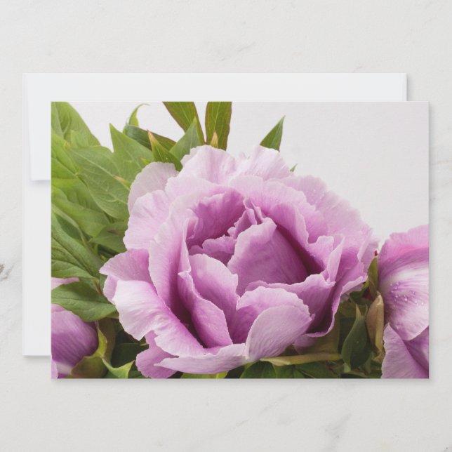 Invitation Bouquet Peonies violettes (Devant)
